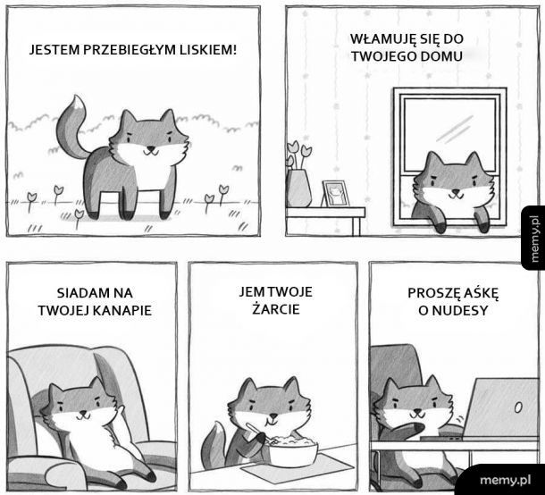 Przebiegły lisek