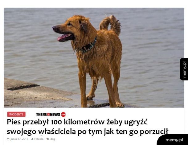 Zemsta jest słodka