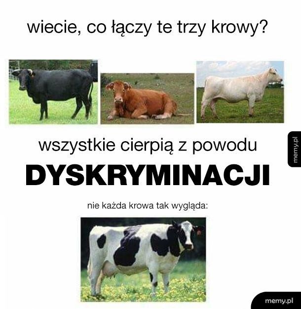 Otwórzcie oczy