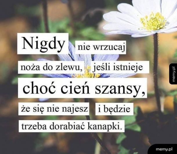 Słowa prawdy