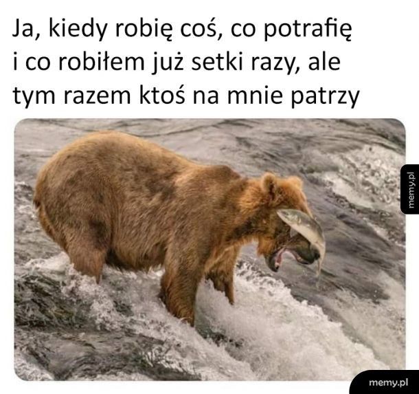 Zawsze, gdy ktoś patrzy