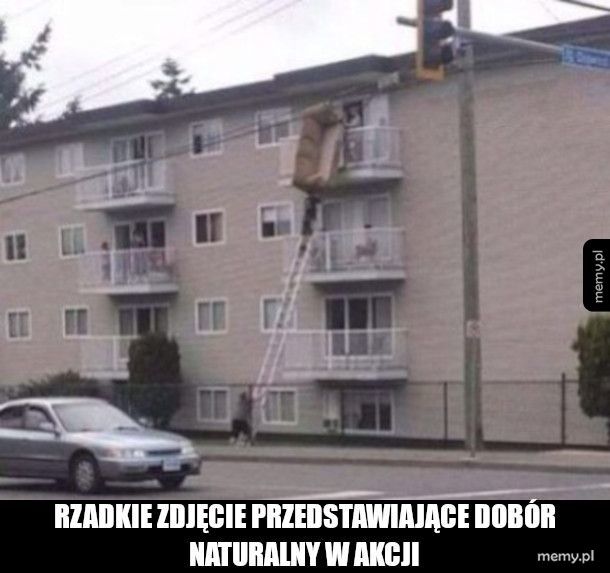 Katastrofa wisi w powietrzu