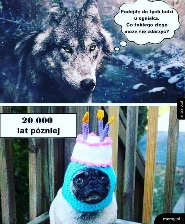 Tak było