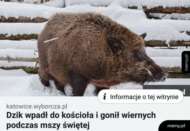 Zaczęło się