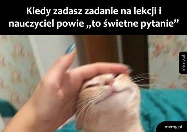 Dziękuję psze pana