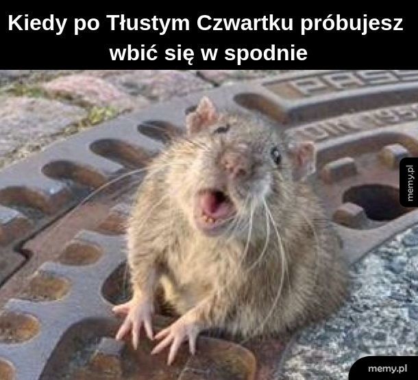 Spodnie