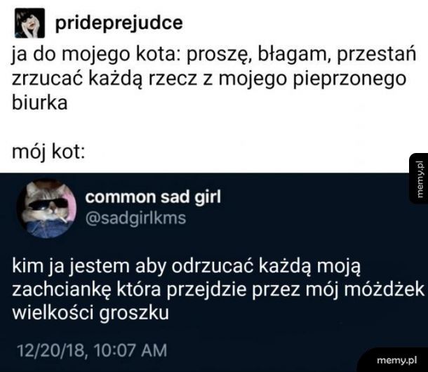 Za dużo byś chciał, człowieczku