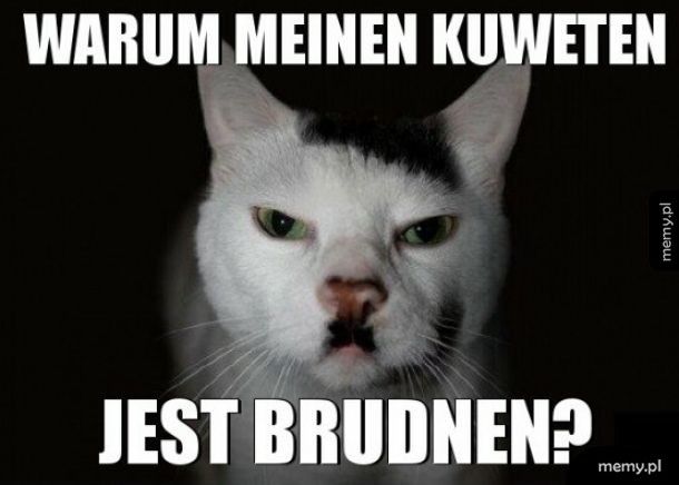 Kitler?