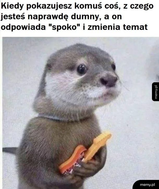 Spoko