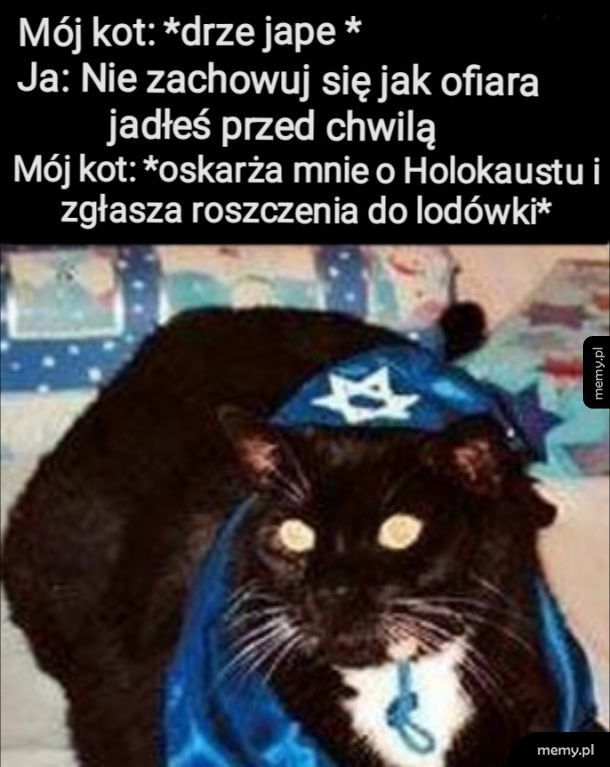 Od dziś wolę psy