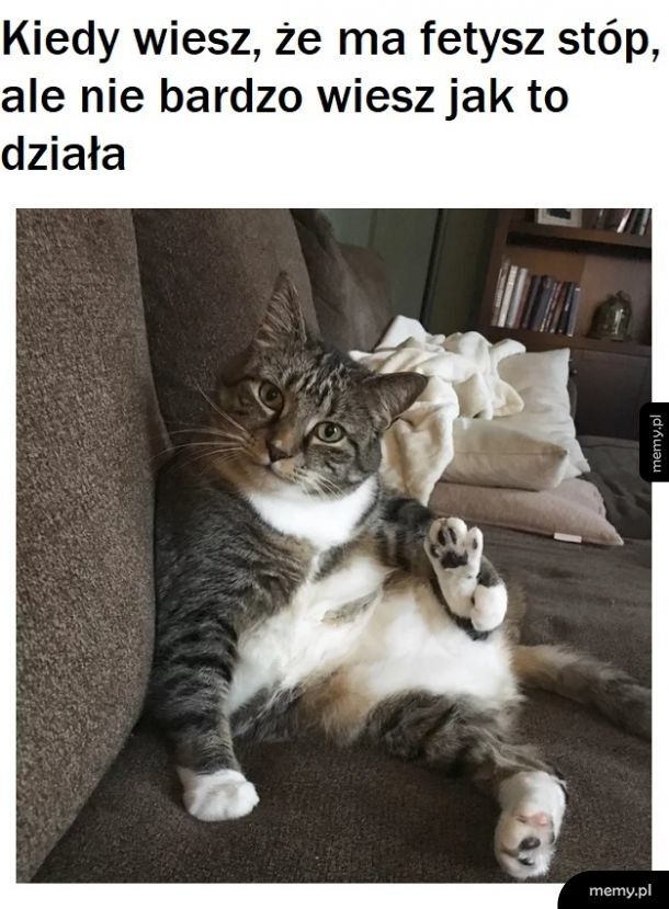 Patrz, mam stopę