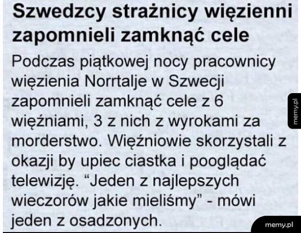 Kota nie ma, myszy harcują