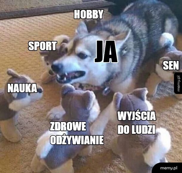 Sześciu jeźdźców apokalipsy