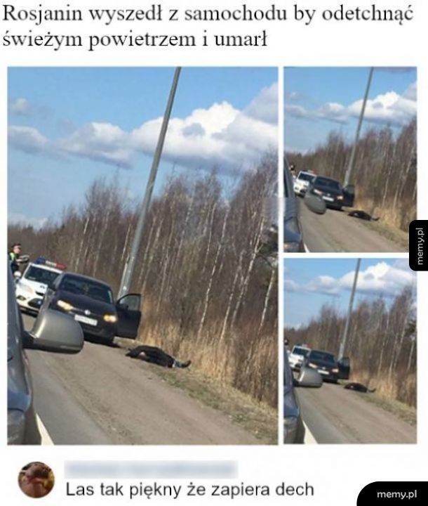 Piękny las