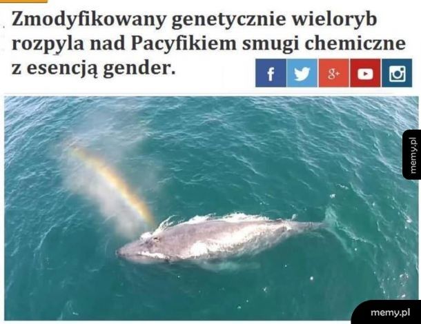 Genderowe chemtrailsy