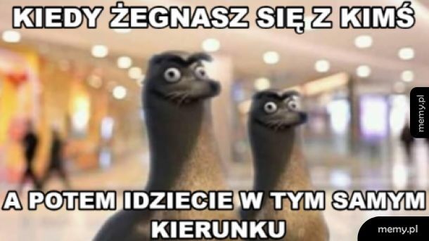 Żegnam