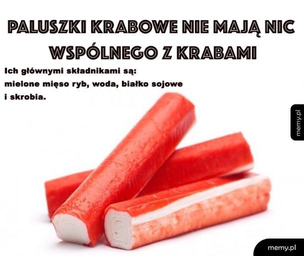 Całe moje życie to kłamstwo