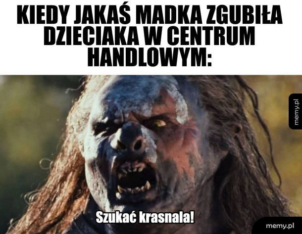 Gdzie ten kaszojad?