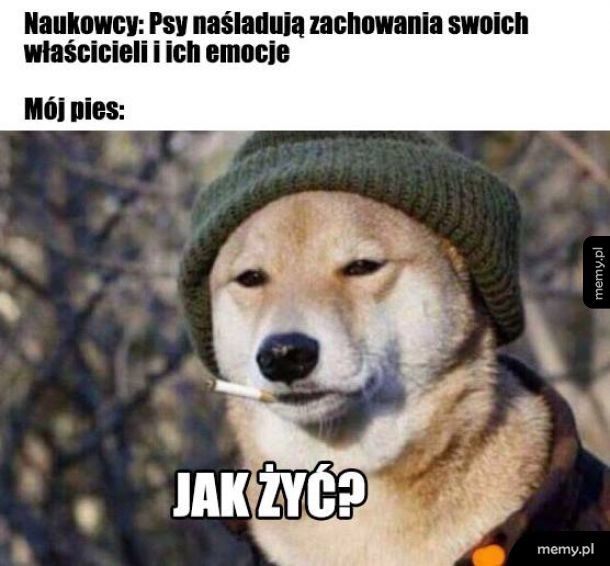 Jak żyć?`