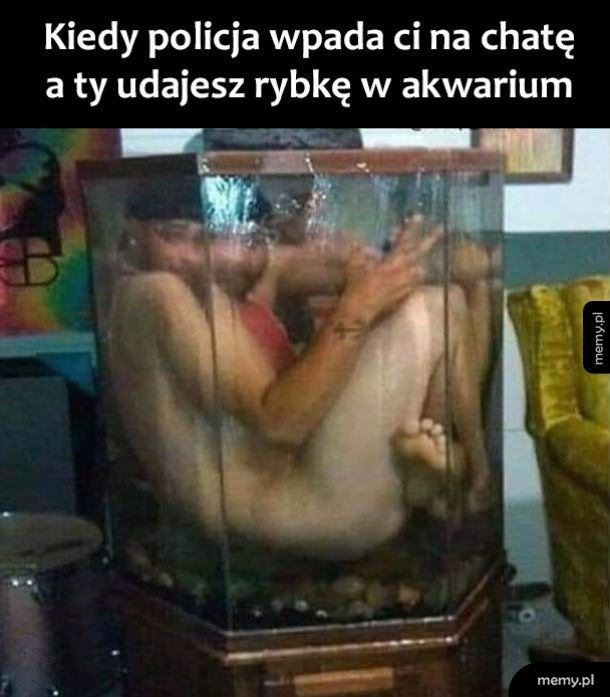 Jestem rybką