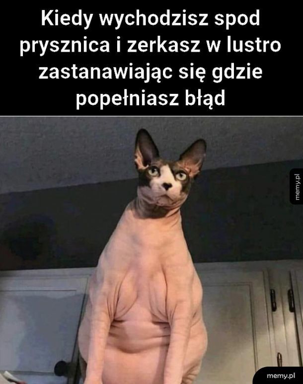 Tak to właśnie wygląda