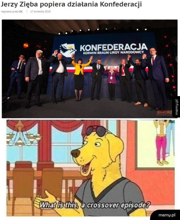 Konfederacja