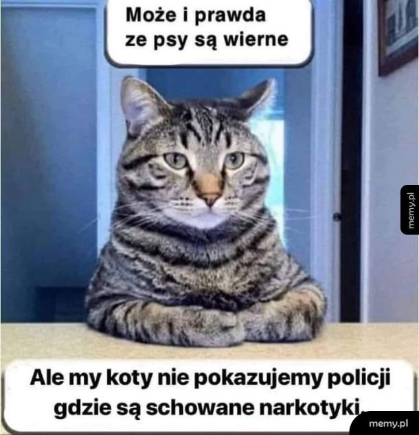 Prawdziwy przyjaciel