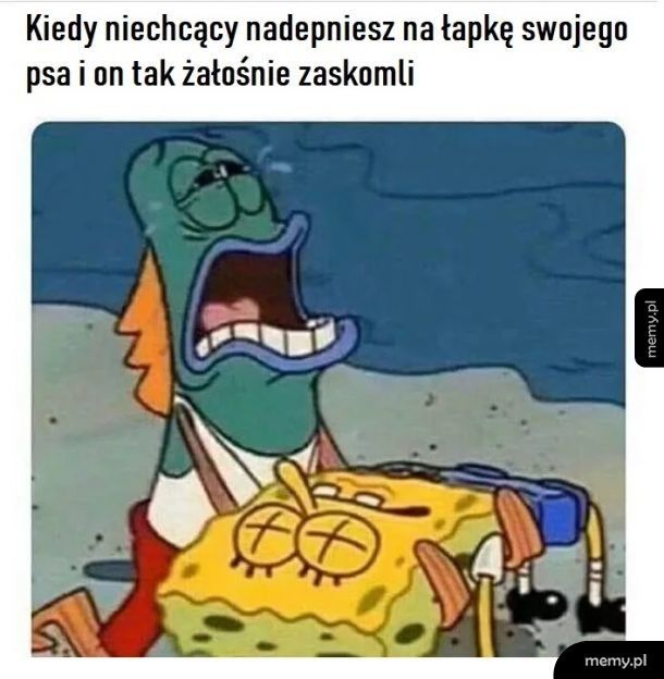 Wybacz piesku!