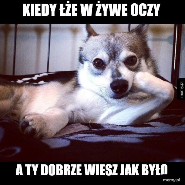 Łże