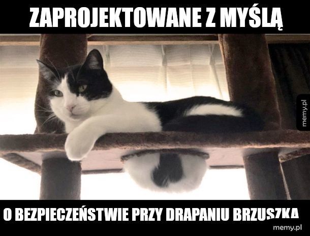 Brzuszek