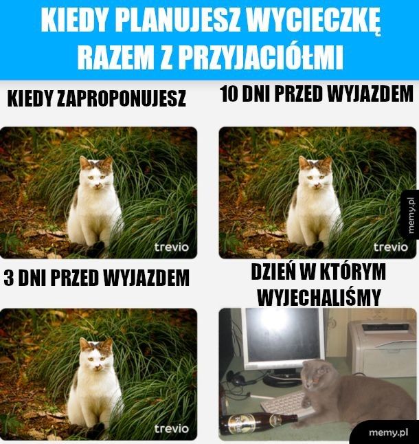 Kiedy nie masz przyjaciół