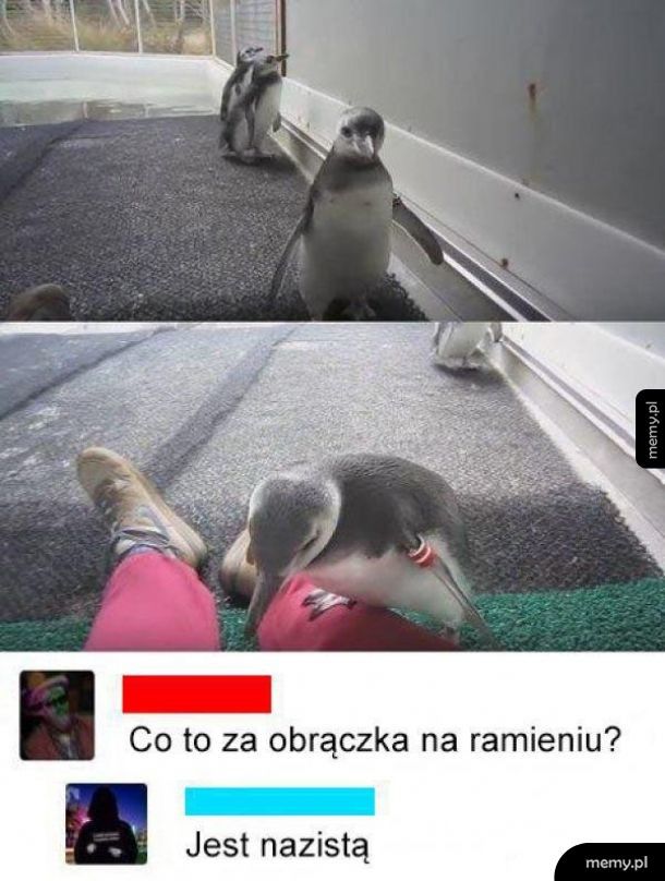 Nazi pingwin