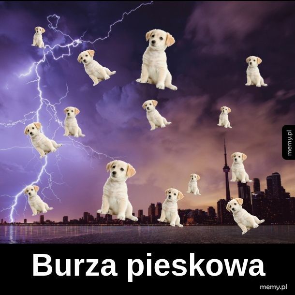 Burza