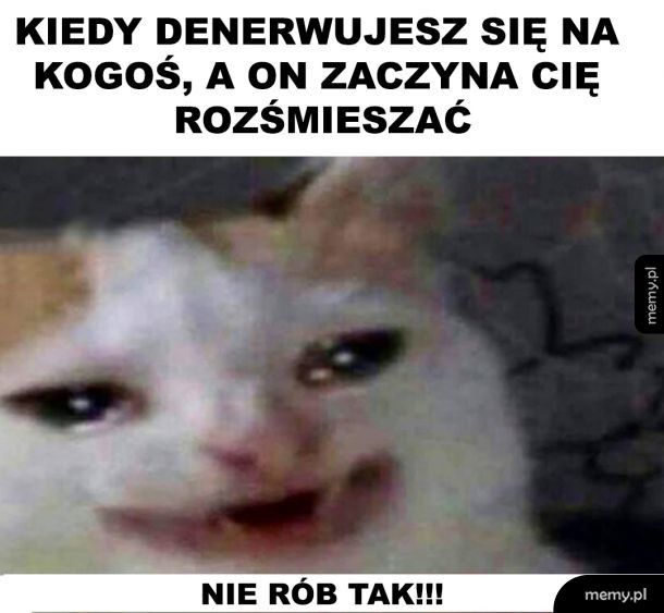 Tak to wygląda