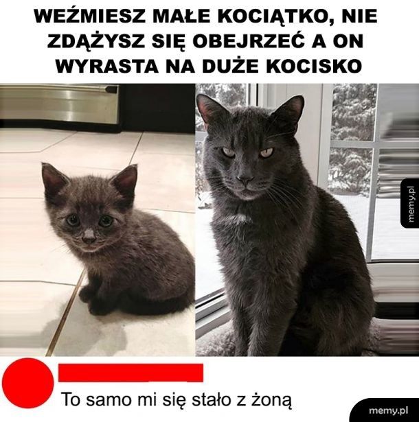 Jak ten czas szybko leci