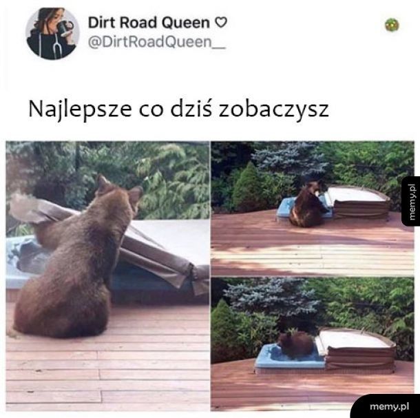 Najlepsze