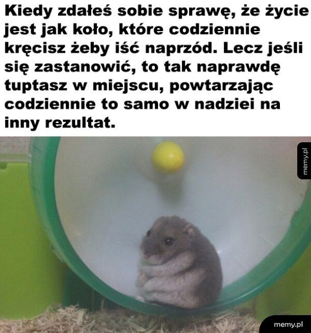 I tak w koło przez całe życie :P