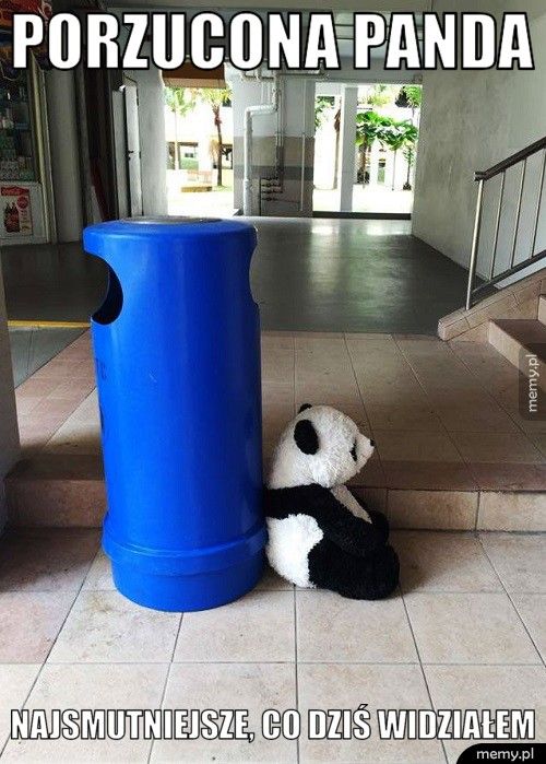  Porzucona panda Najsmutniejsze, co dziś widziałem