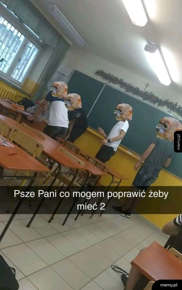 Psze pani