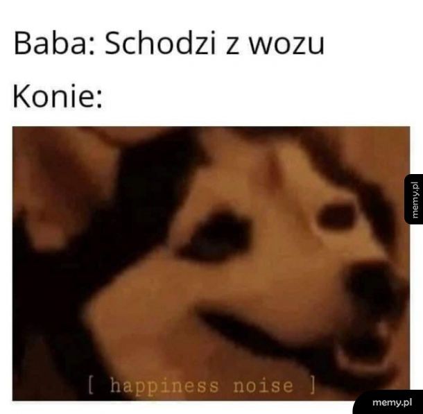 Koniom lżej