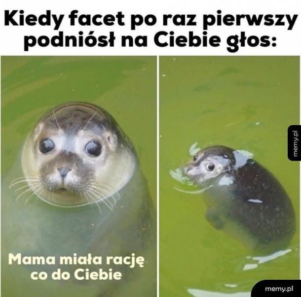 Jak śmiałeś prostaku!