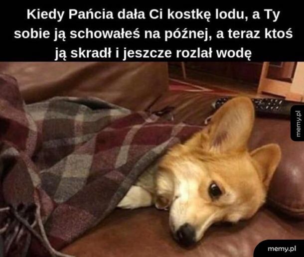 Kostka lodu