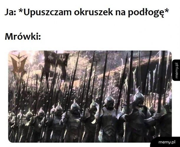 Naprzód!