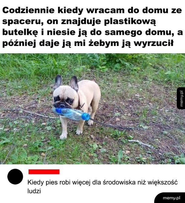 Ludzie powinni się uczyć od zwierząt