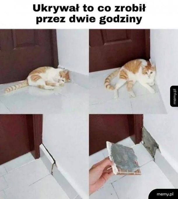 Dobrze ukrył