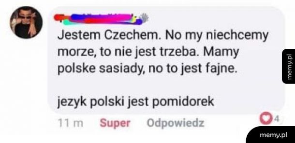 Czechy