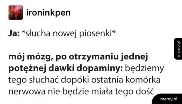 Aż do porzygu