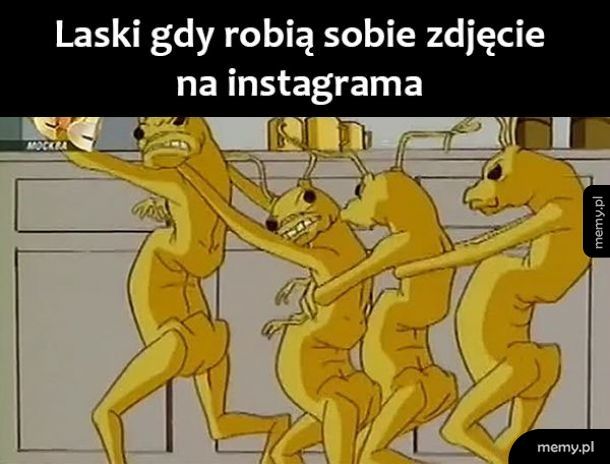 Laski na insta