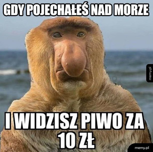 Co to ma znaczyć