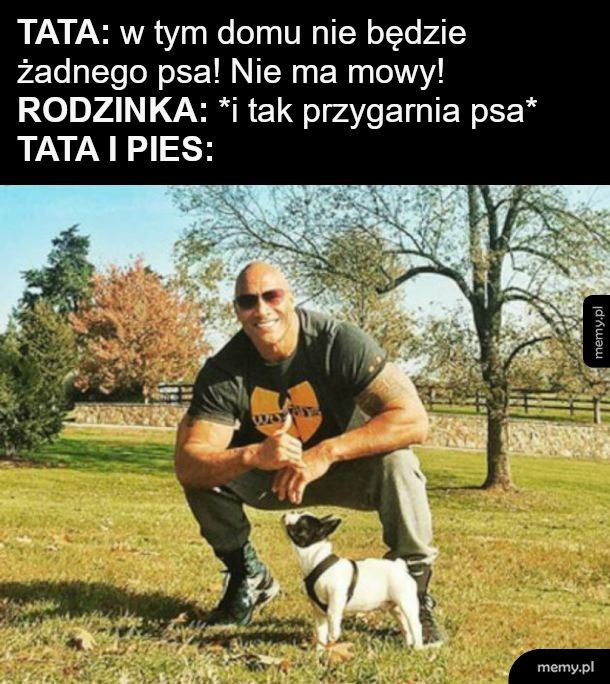 Najlepsze ziomeczki